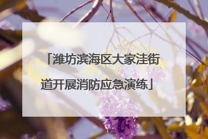 潍坊滨海区大家洼街道开展消防应急演练