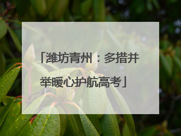 潍坊青州：多措并举暖心护航高考
