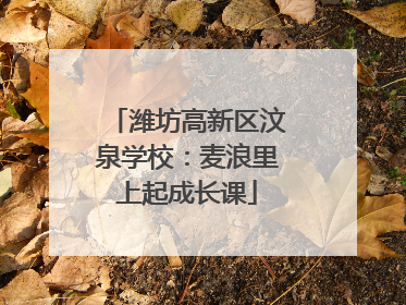 潍坊高新区汶泉学校：麦浪里上起成长课