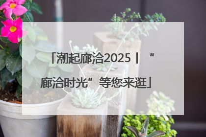 潮起廊洽2025丨“廊洽时光”等您来逛