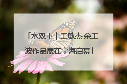 水双重｜王敏杰·余王波作品展在宁海启幕