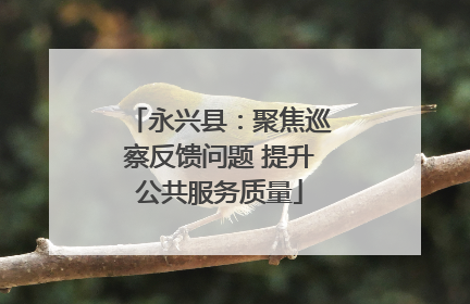 永兴县：聚焦巡察反馈问题 提升公共服务质量