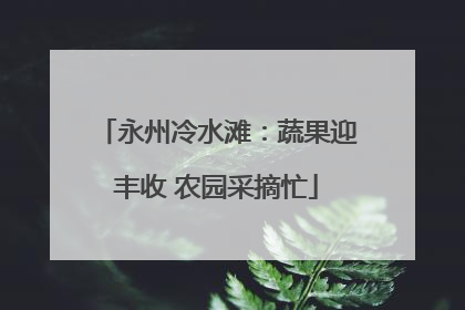 永州冷水滩：蔬果迎丰收 农园采摘忙