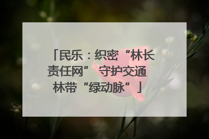 民乐：织密“林长责任网” 守护交通林带“绿动脉”