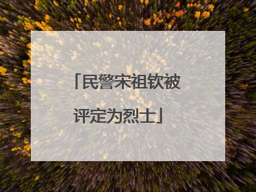 民警宋祖钦被评定为烈士