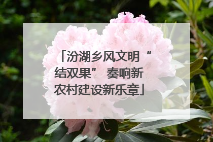汾湖乡风文明“结双果” 奏响新农村建设新乐章