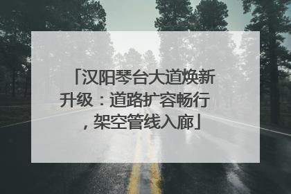 汉阳琴台大道焕新升级：道路扩容畅行，架空管线入廊