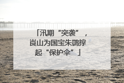 汛期“突袭”，崀山为国宝朱鹮撑起“保护伞”