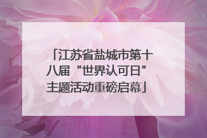江苏省盐城市第十八届“世界认可日”主题活动重磅启幕