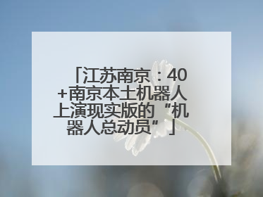 江苏南京：40+南京本土机器人上演现实版的“机器人总动员”