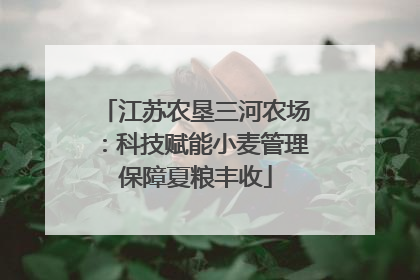江苏农垦三河农场：科技赋能小麦管理保障夏粮丰收