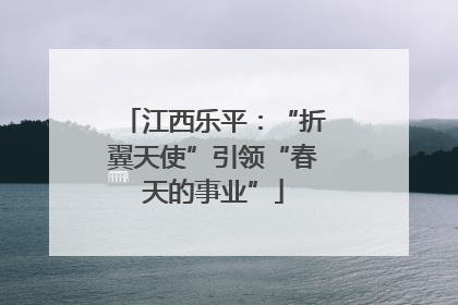 江西乐平：“折翼天使”引领“春天的事业”
