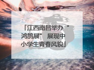 江西南昌举办“鸿鹄展” 展现中小学生青春风貌