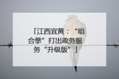 江西宜黄：“组合拳”打出政务服务“升级版”