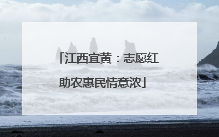 江西宜黄：志愿红助农惠民情意浓