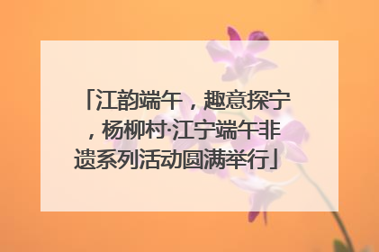 江韵端午，趣意探宁，杨柳村·江宁端午非遗系列活动圆满举行
