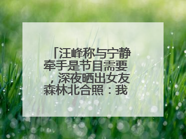 汪峰称与宁静牵手是节目需要，深夜晒出女友森林北合照：我俩好着呢！