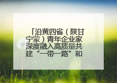 沿黄四省（陕甘宁蒙）青年企业家深度融入高质量共建“一带一路”和西部陆海新通道建设战略合作交流会在甘肃兰州召开