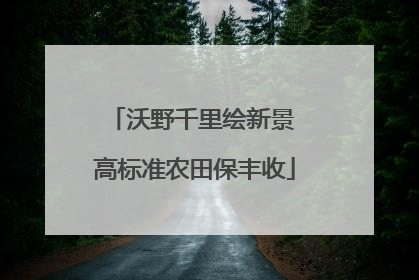 沃野千里绘新景 高标准农田保丰收