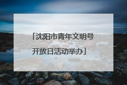 沈阳市青年文明号开放日活动举办