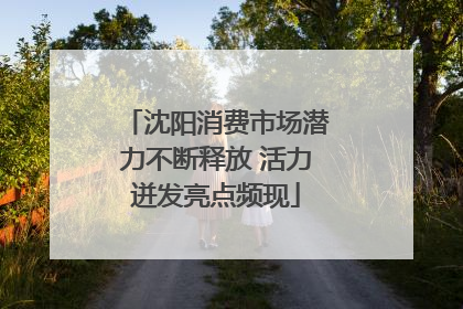 沈阳消费市场潜力不断释放 活力迸发亮点频现