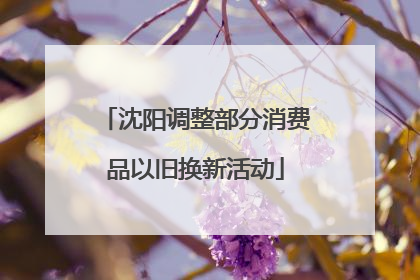 沈阳调整部分消费品以旧换新活动