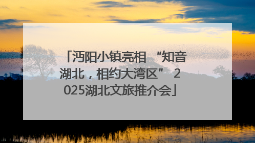 沔阳小镇亮相 “知音湖北，相约大湾区” 2025湖北文旅推介会