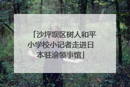沙坪坝区树人和平小学校小记者走进日本驻渝领事馆