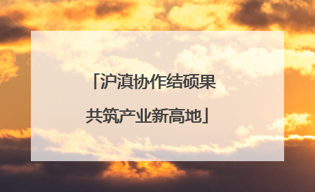 沪滇协作结硕果 共筑产业新高地