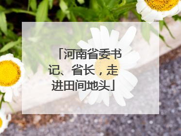 河南省委书记、省长，走进田间地头