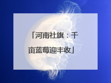 河南社旗：千亩蓝莓迎丰收