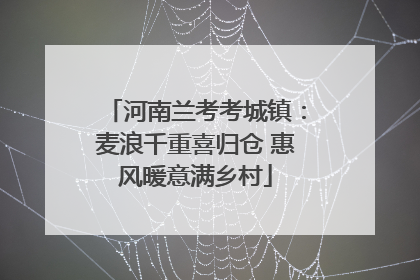 河南兰考考城镇：麦浪千重喜归仓 惠风暖意满乡村