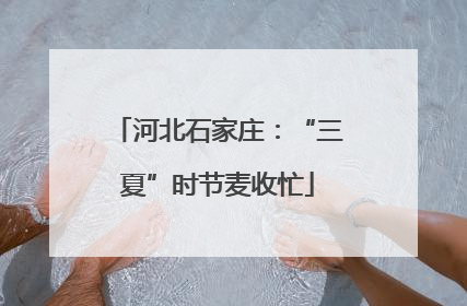 河北石家庄：“三夏”时节麦收忙