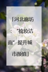 河北廊坊：“梳妆洁面”提升城市颜值