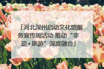河北深州启动文化馆服务宣传周活动 推动“非遗+旅游”深度融合