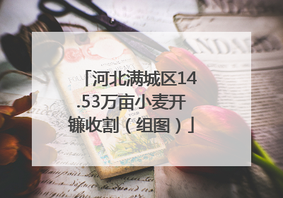 河北满城区14.53万亩小麦开镰收割（组图）