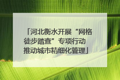 河北衡水开展“网格徒步踏查”专项行动 推动城市精细化管理