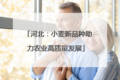 河北：小麦新品种助力农业高质量发展