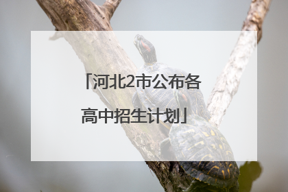 河北2市公布各高中招生计划