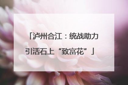 泸州合江：统战助力引活石上“致富花”
