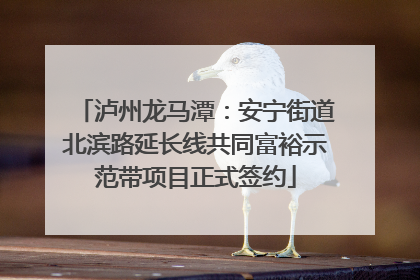 泸州龙马潭：安宁街道北滨路延长线共同富裕示范带项目正式签约
