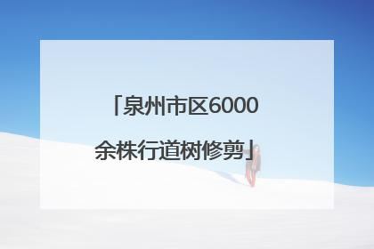 泉州市区6000余株行道树修剪
