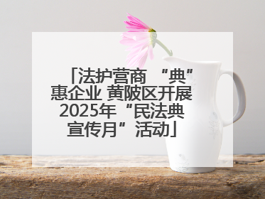 法护营商 “典”惠企业 黄陂区开展2025年“民法典宣传月”活动