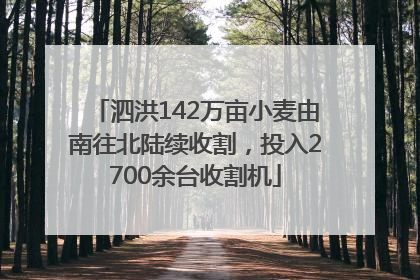 泗洪142万亩小麦由南往北陆续收割，投入2700余台收割机