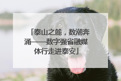 泰山之麓，数潮奔涌——数字强省融媒体行走进泰安