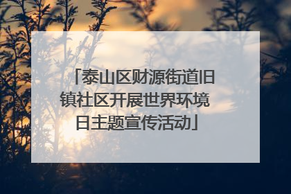 泰山区财源街道旧镇社区开展世界环境日主题宣传活动