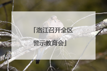 洛江召开全区警示教育会