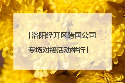 洛阳经开区跨国公司专场对接活动举行