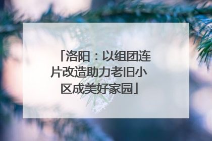 洛阳：以组团连片改造助力老旧小区成美好家园