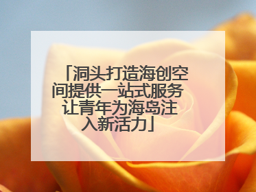洞头打造海创空间提供一站式服务 让青年为海岛注入新活力